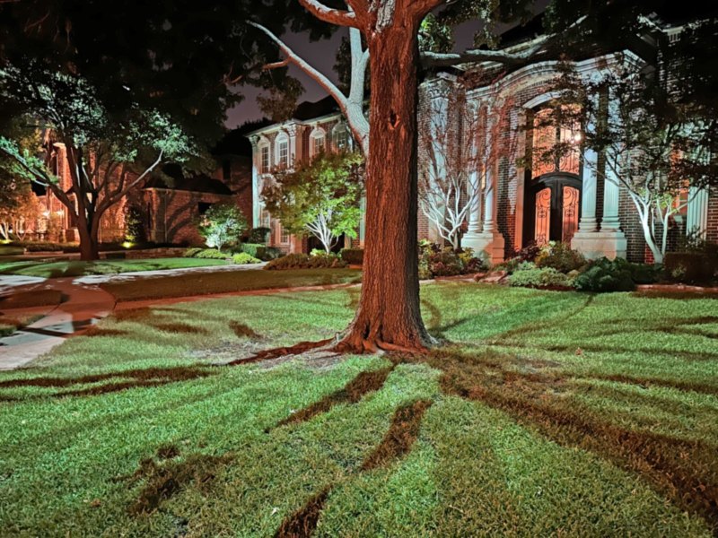 home landscape lighting Preston Hollow